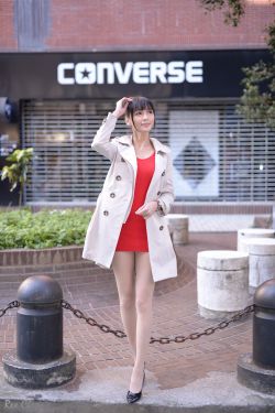 金帅缘犬舍